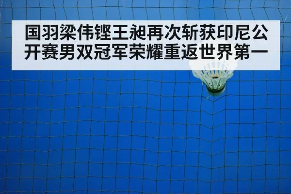 badminton net play
