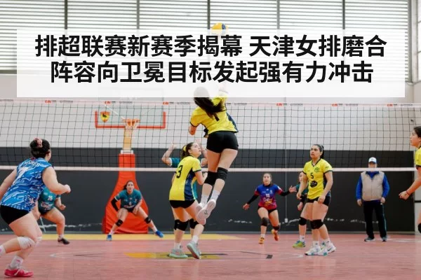 volleyball match indoor arena